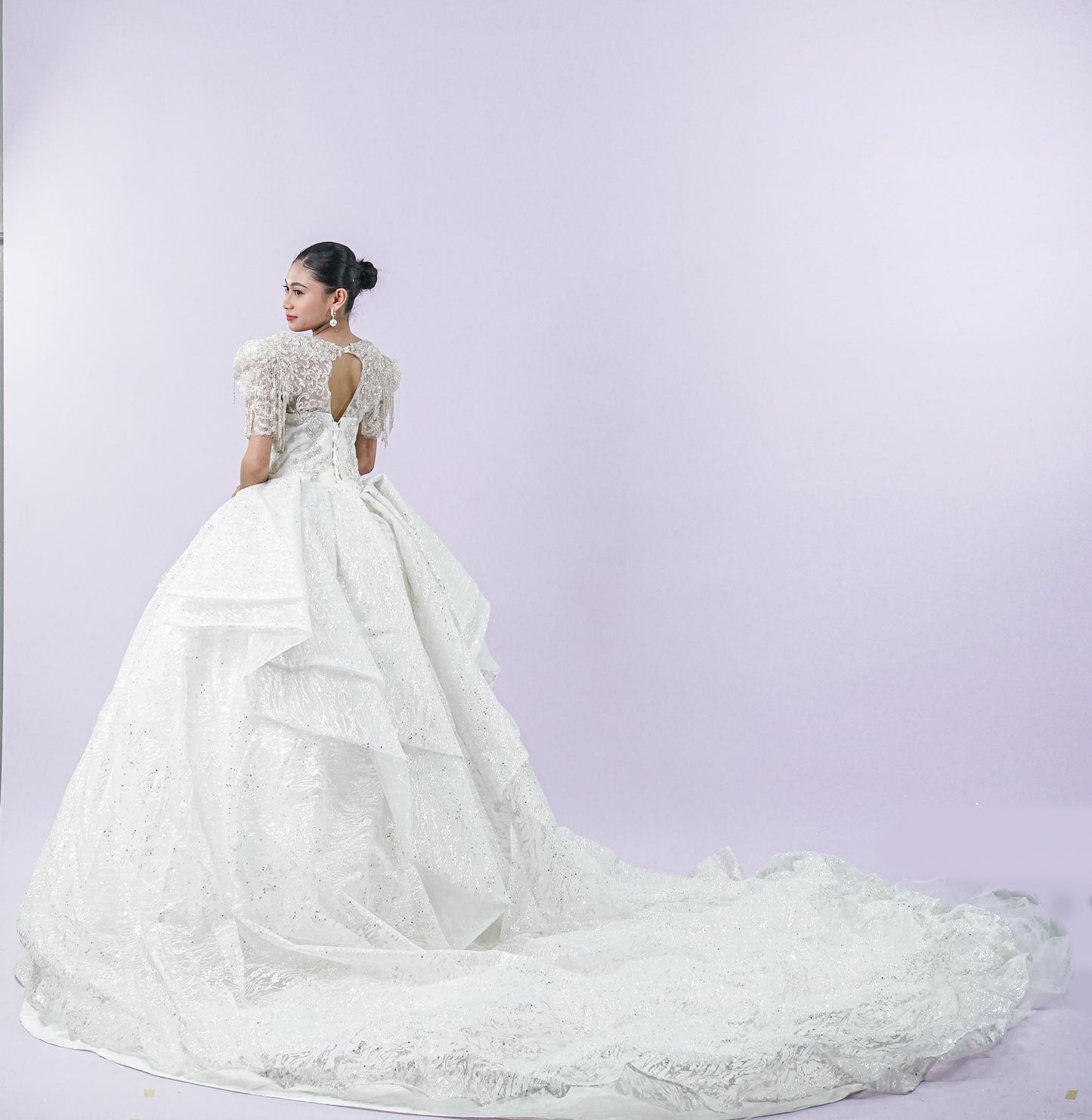 Long Back Bejeweled Intricate Bridal Gown
