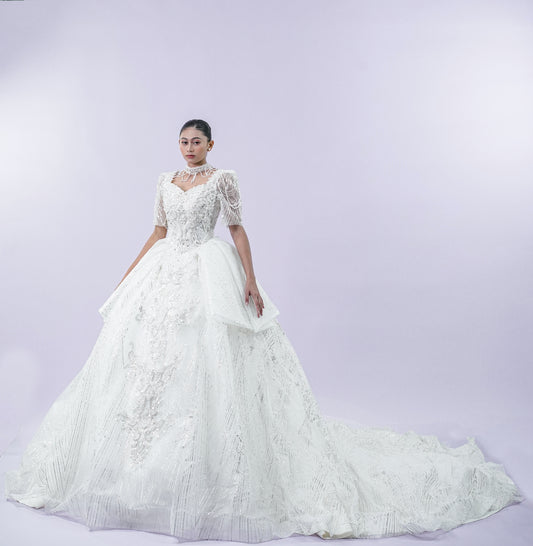 Regal Jewel Long Back Bridal Wedding Gown