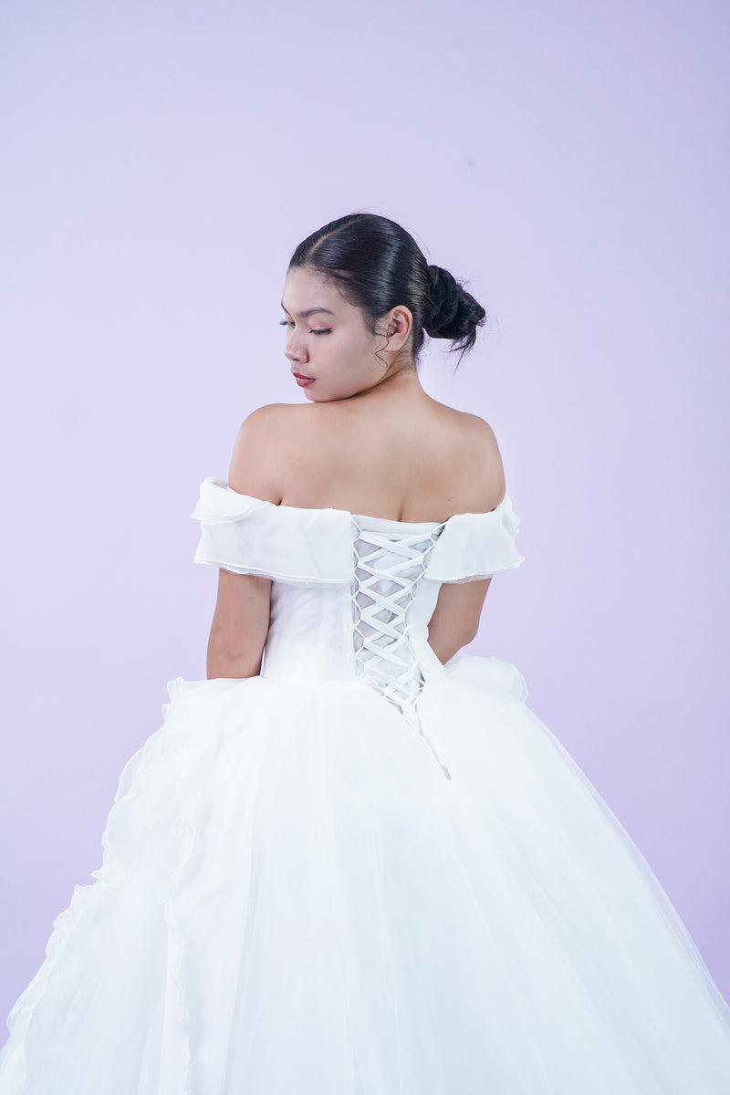 Off-Shoulder Delicate Tule Wedding Bridal Gown - Noelle West Bridals