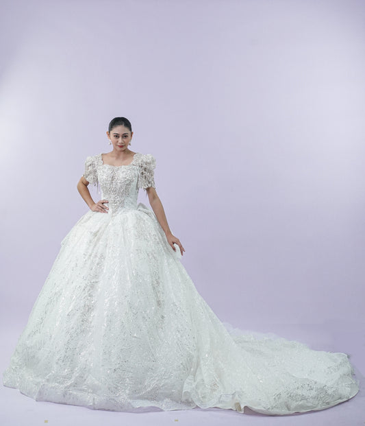 Long Back Bejeweled Intricate Bridal Gown